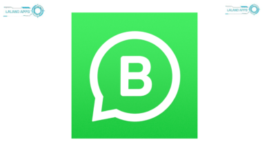 whatsapp business plus